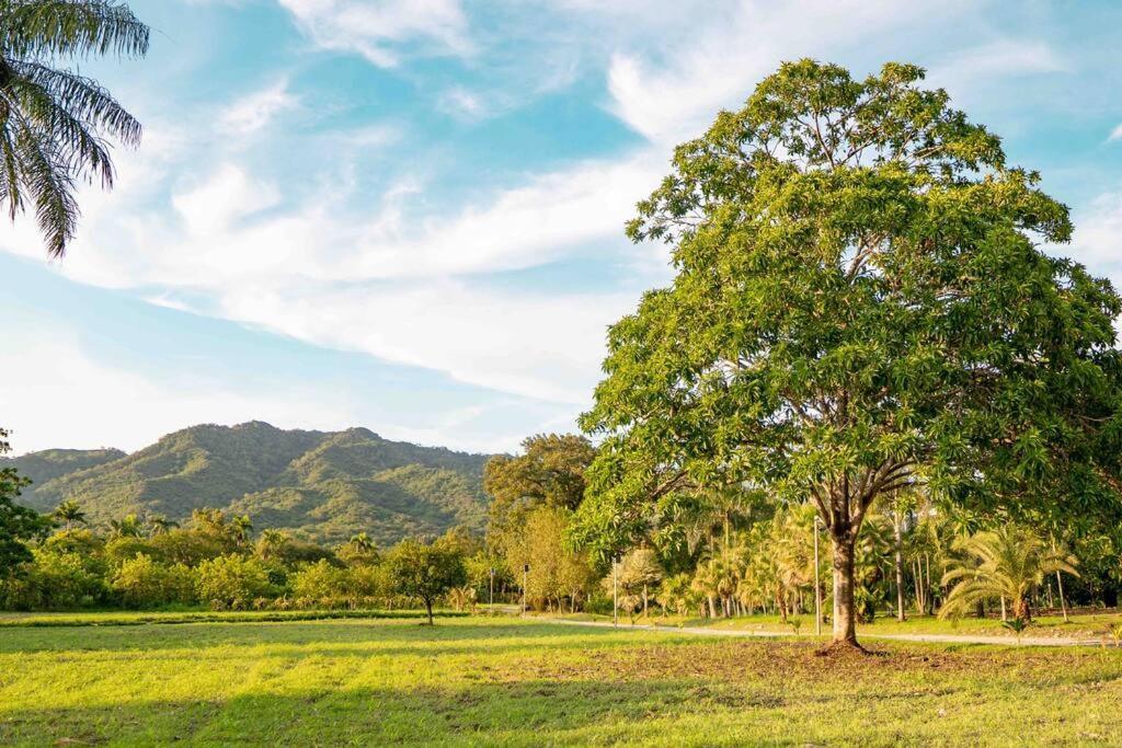 Вілла Hacienda La Huerta, Puerto Plata Екстер'єр фото