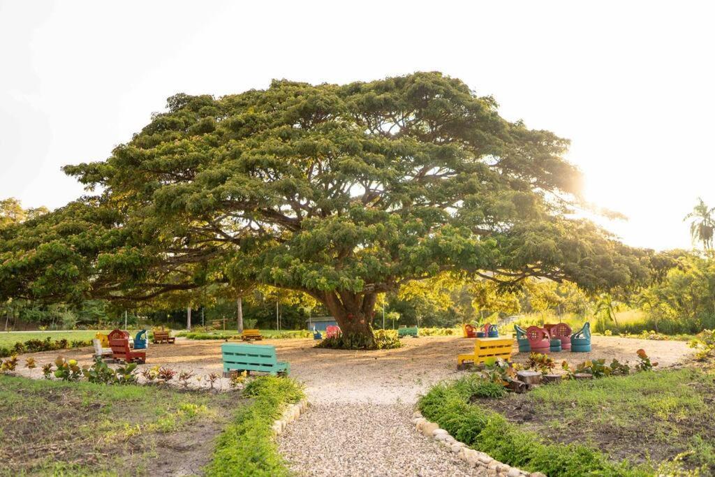 Вілла Hacienda La Huerta, Puerto Plata Екстер'єр фото